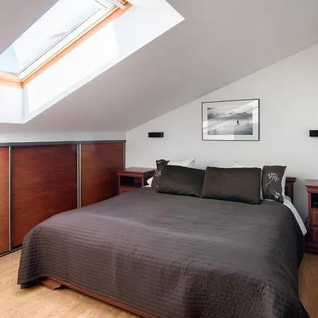 Apartmán W Centrum - Duplex Penthouse In The Centre With Terrace And Air Conditioning *