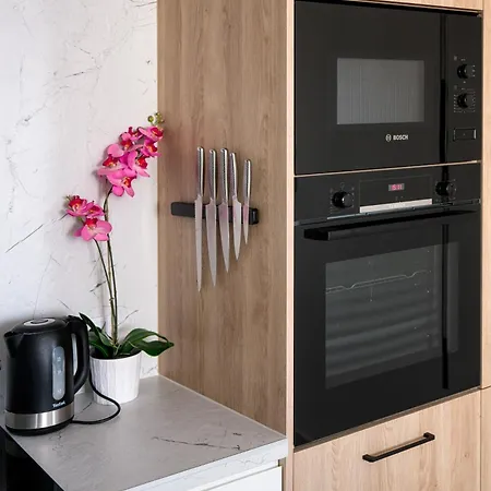 W Centrum - Duplex Penthouse In The Centre With Terrace And Air Conditioning 公寓 *