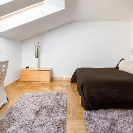 W Centrum - Duplex Penthouse In The Centre With Terrace And Air Conditioning 公寓 *